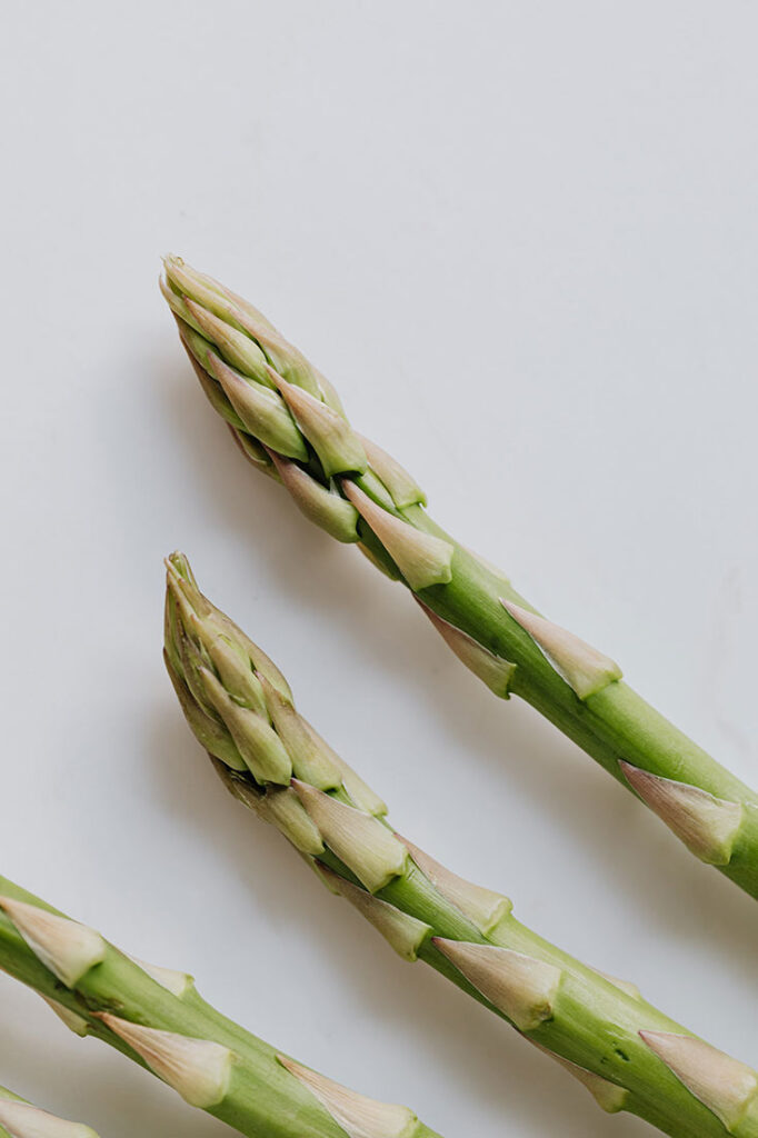 Single spears of asparagus against a white background.