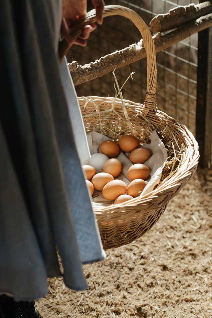 A female hand holds a basket of fresh eggs.