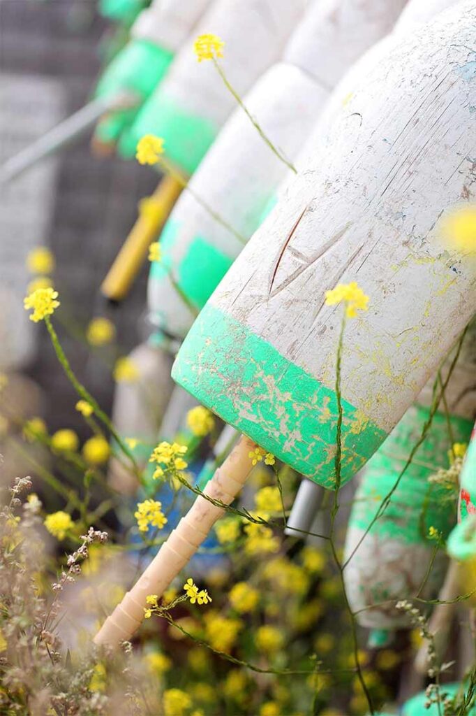 A row of bouys.