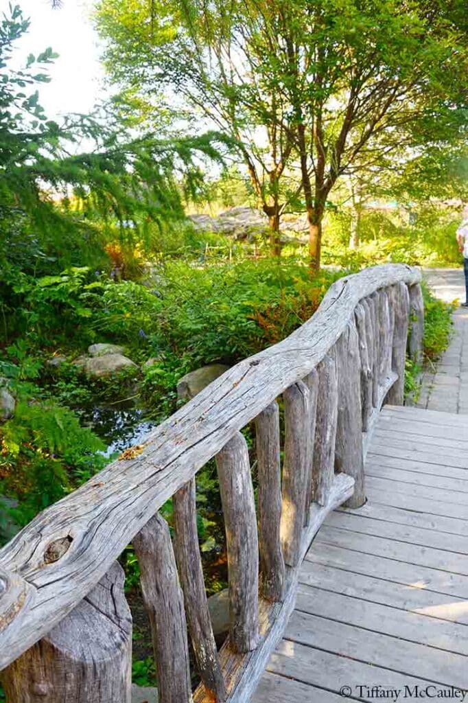 A wooden bridge at the Coastal Maine Botanical Gardens.