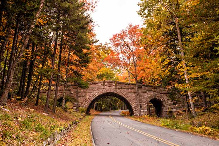 A bridge in Acadia National Park surrounded by fall foliage.