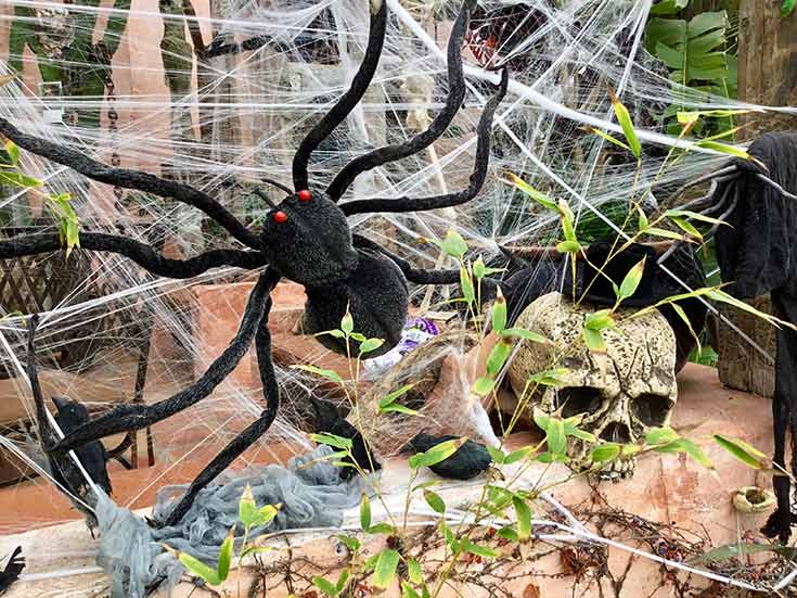 Halloween decor including a giant spider on a web and a half skull.